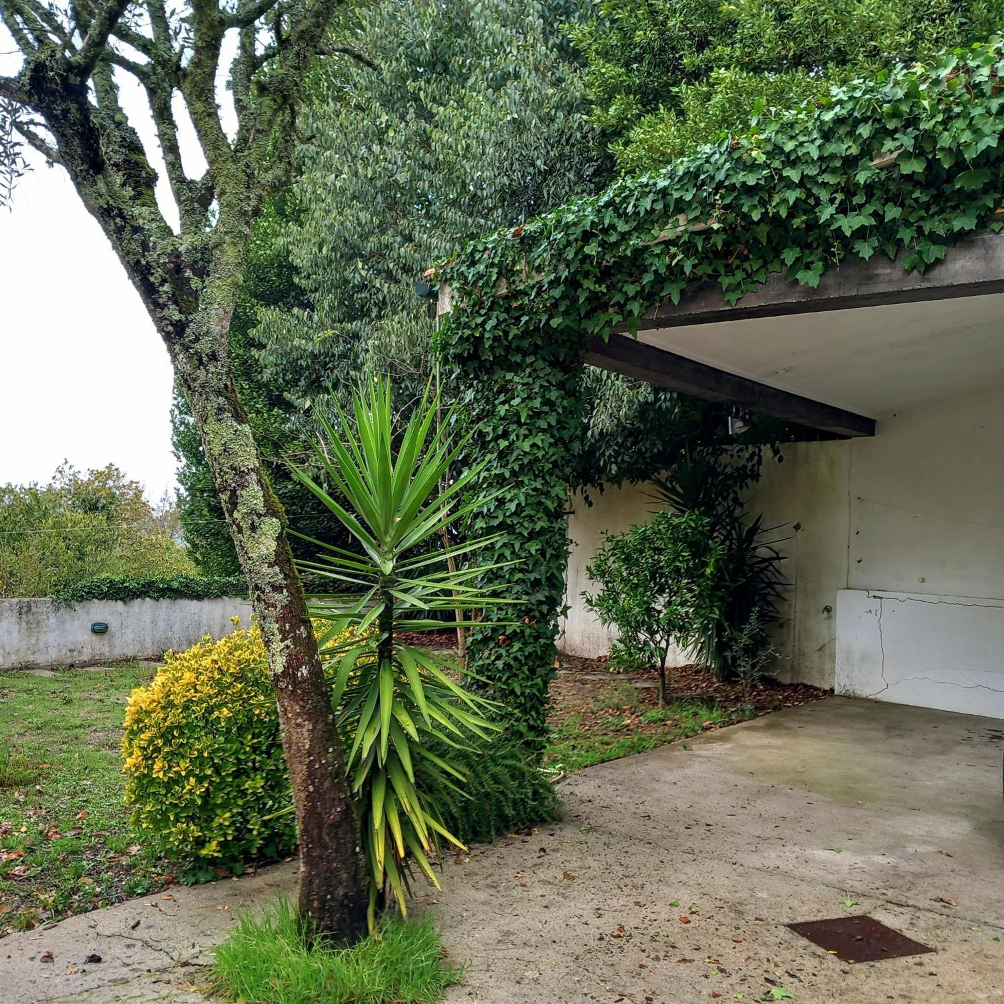 Casa Amarante Porto Villa Buitenkant foto