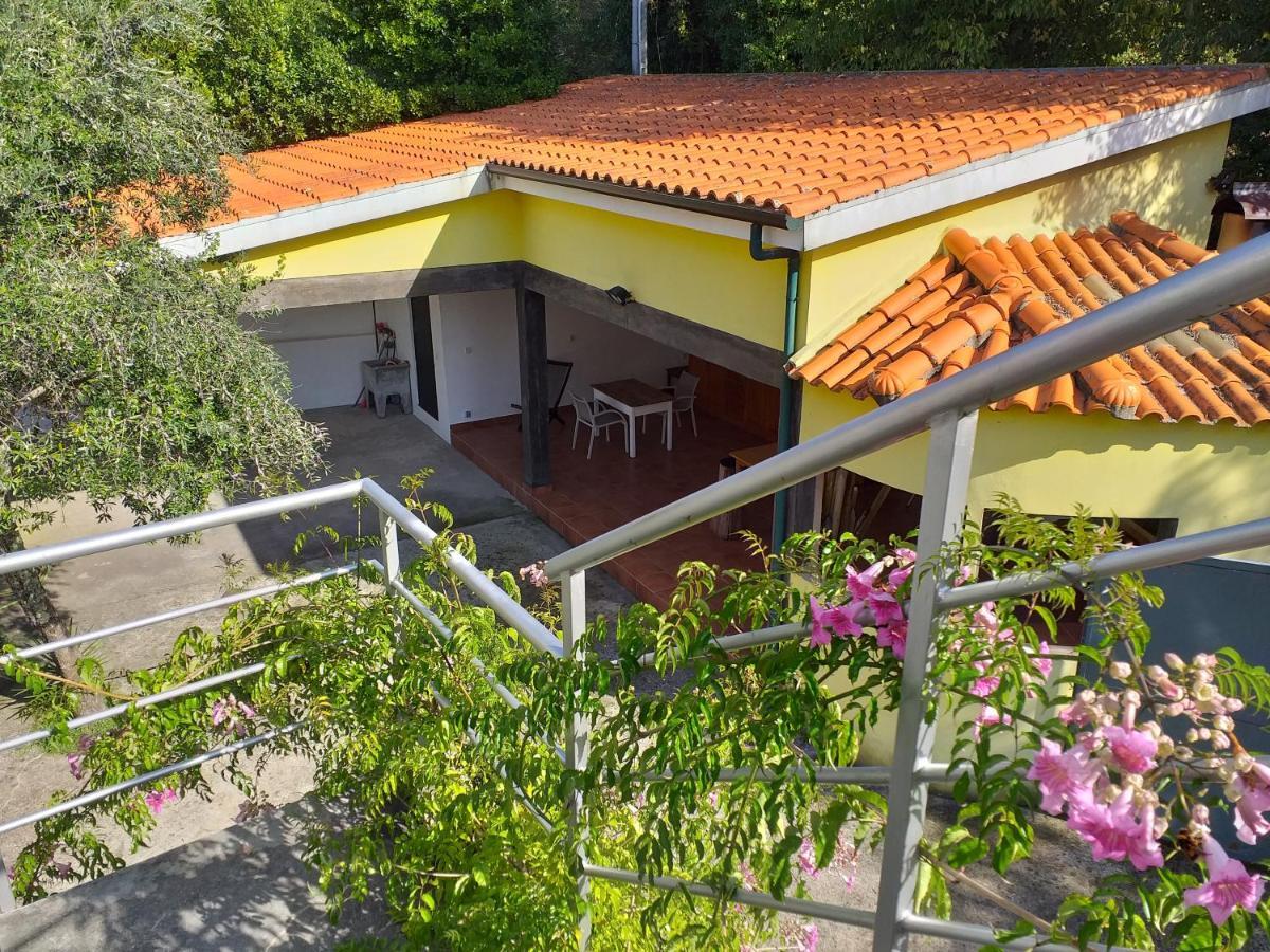 Casa Amarante Porto Villa Buitenkant foto